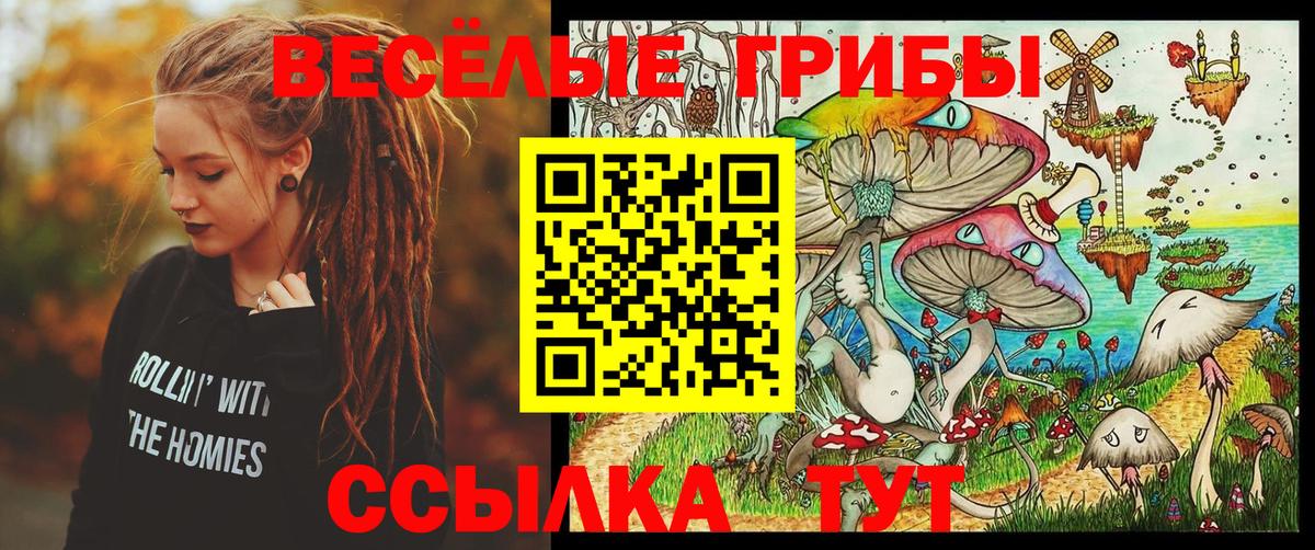 Галлюциногенные грибы MAGIC MUSHROOMS Ивантеевка