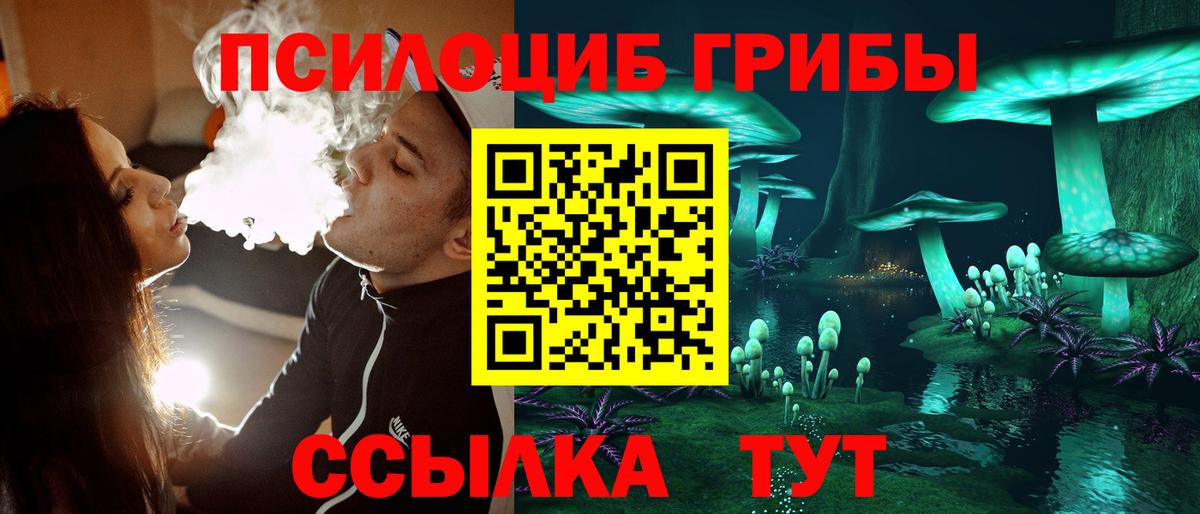 Галлюциногенные грибы Psilocybe  Вход с VPN  Ивантеевка 